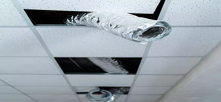 Our Air Duct Pet Hair Removal Services in Arlington, MA