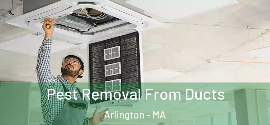 Pest Removal From Ducts Arlington - MA