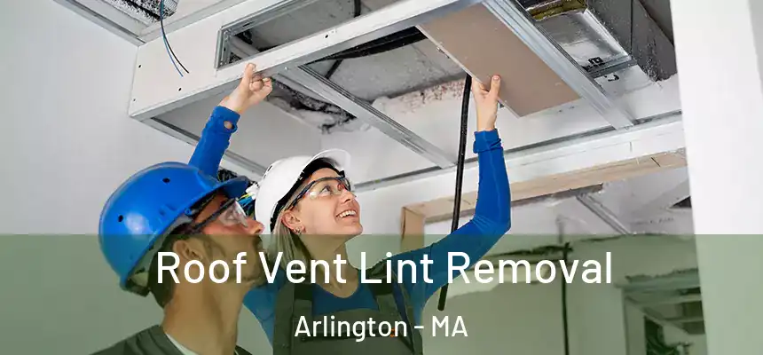  Roof Vent Lint Removal Arlington - MA