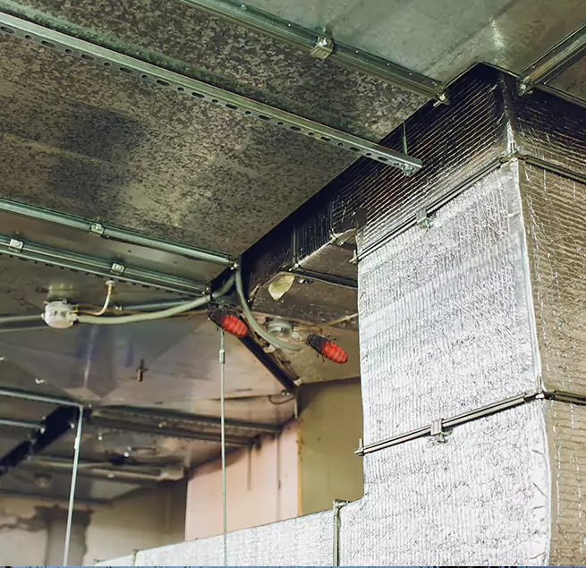 Why Homeowners & Businesses Trust Us in Arlington, MA?