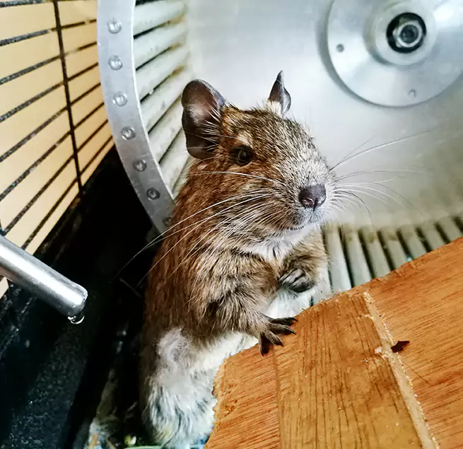 Why Homeowners & Businesses Trust Us Arlington, MA?