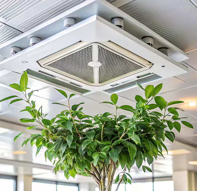 Why Homeowners & Businesses Trust Us in Arlington, MA?